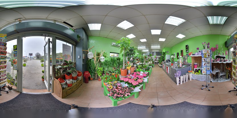 Visite virtuelle 360 de Vert Tige à Bagnols-sur-Cèze – Fleuriste – Webvisite