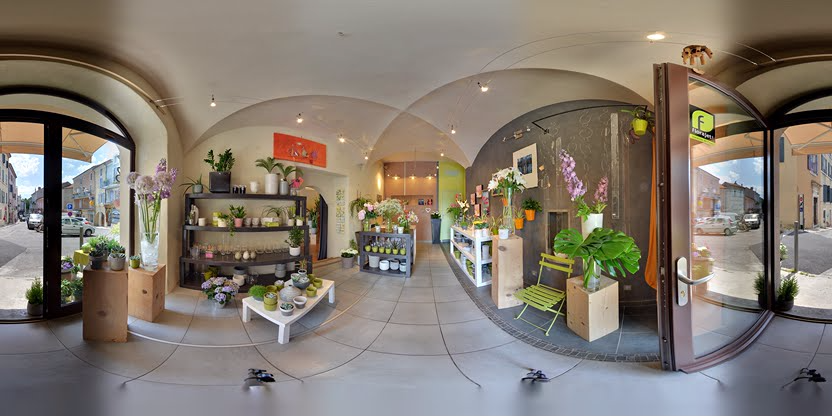 Visite virtuelle 360° de Quand la nature s'en mêle à Aubenas – Fleuriste – Webvisite