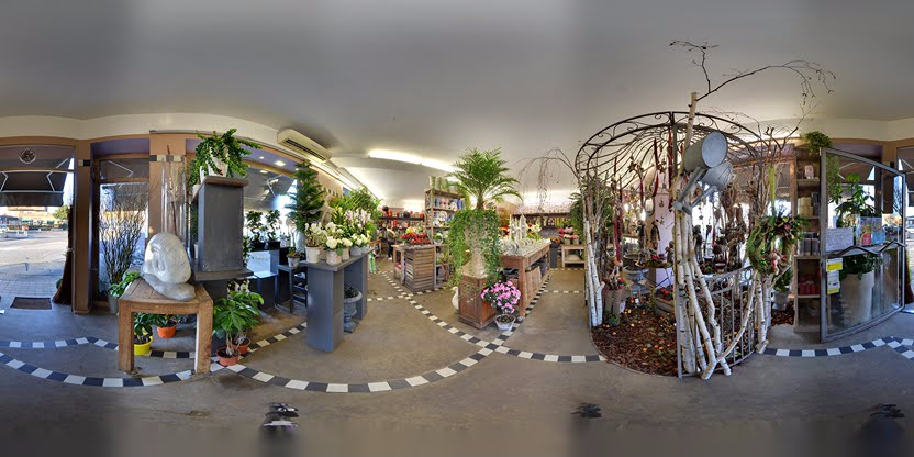 Visite virtuelle 360° de Jacques Declippeleir à Roussillon – Fleuriste – Webvisite
