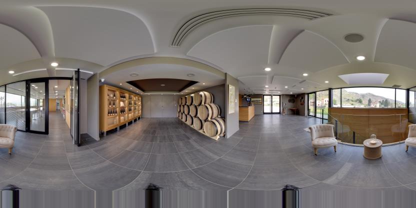 Visite virtuelle 360 de Domaine Ogier - Ampuis