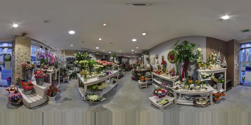Visite virtuelle 360 de Estel' Fleurs - Carcassonne