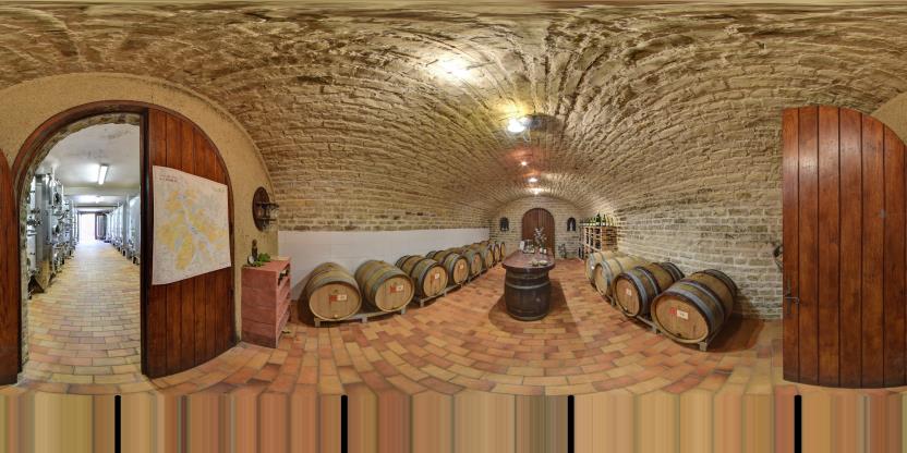 Visite virtuelle 360 de Domaine Goulley à La Chapelle-Vaupelteigne – Vignoble – Webvisite