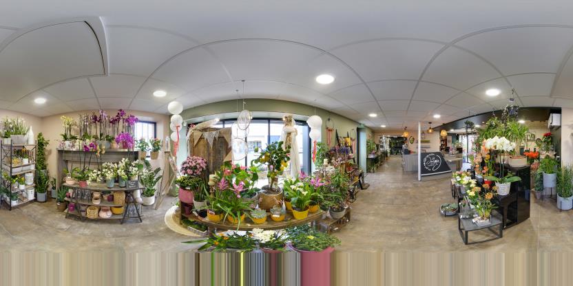 Visite virtuelle 360° de Le Jasmin à Meslay-du-Maine – Fleuriste – Webvisite