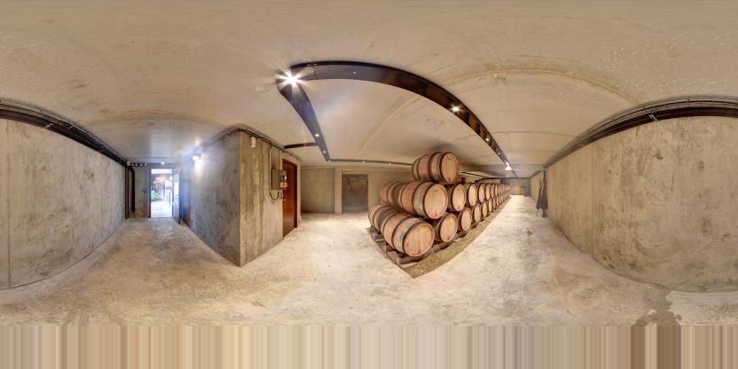 Visite virtuelle 360 de Domaine Charton à Mercurey – Vignoble – Webvisite