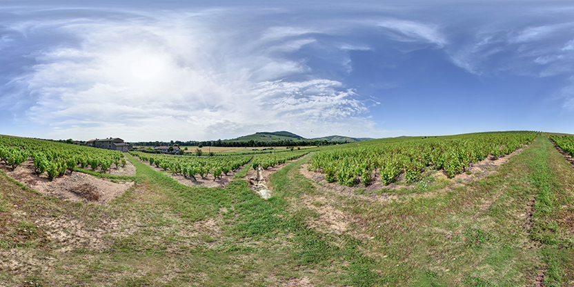 Visite virtuelle 360° de Roger Gerin à Cercié – Vignoble – Webvisite
