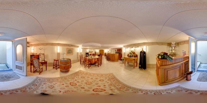 Visite virtuelle 360 de Champagne Blaise Lourdez à Damery – Vignoble – Webvisite