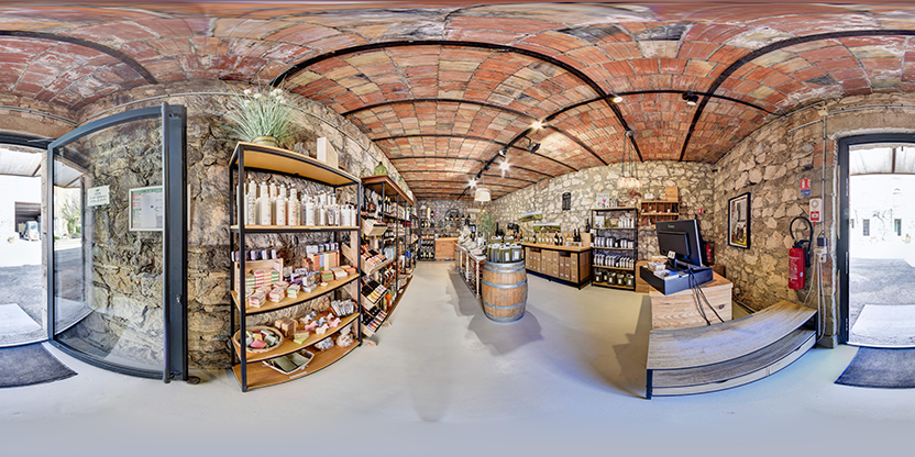 Visite virtuelle 360° de SCEA Domaine de Suriane à Saint-Chamas – Vignoble – Webvisite
