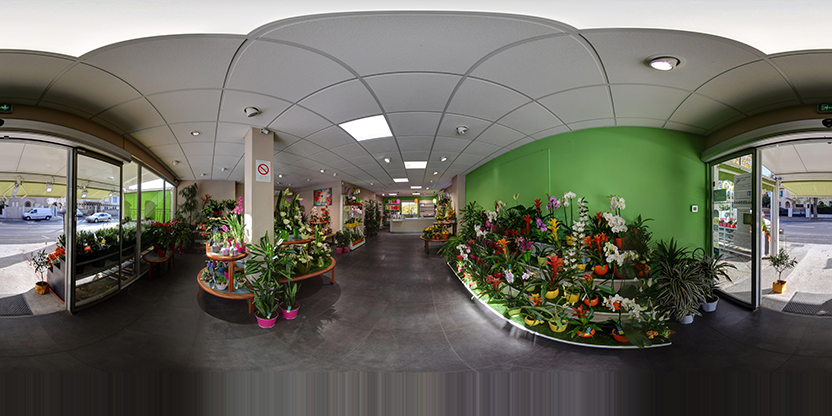 Visite virtuelle 360° de Le Jardin des Fleurs - Sète à Sète – Fleuriste – Webvisite