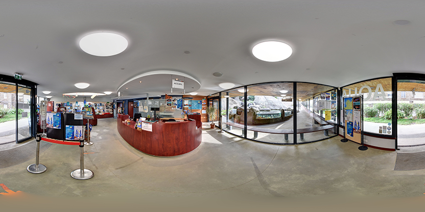 Visite virtuelle 360 de Aquarium marin de Trégastel - Trégastel
