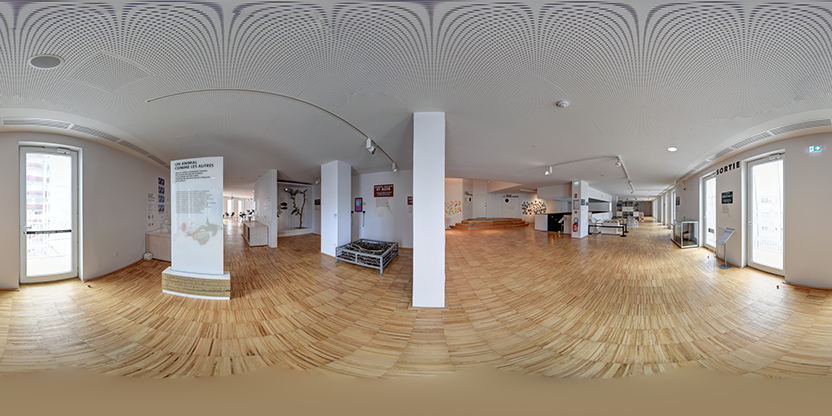 Visite virtuelle 360 de Muséum d'Orléans pour la Biodiversité et l'Environnement - Orléans