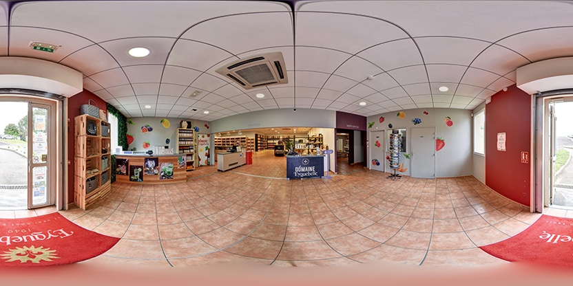 Visite virtuelle 360 de Domaine Eyguebelle - Valaurie