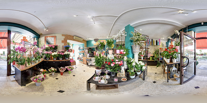 Visite virtuelle 360° de Galerie Niort à Châteauneuf-sur-Charente – Fleuriste – Webvisite