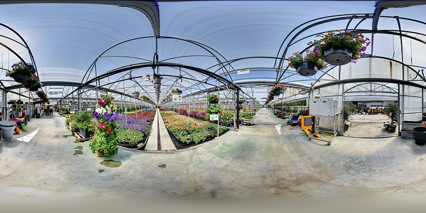 Visite virtuelle 360° de Hanriot Fleurs à Arc-sous-Cicon – Fleuriste – Webvisite