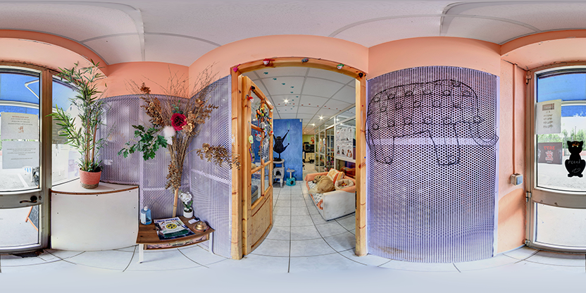 Visite virtuelle 360 de Arpa a Nice - Webvisite