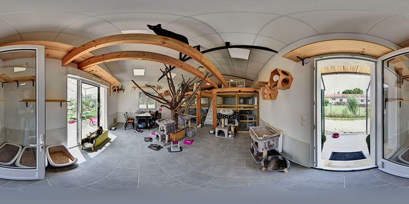 Visite virtuelle 360 de Chats and Co - Brie