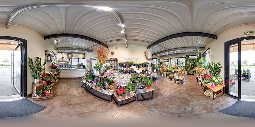 Visite virtuelle 360° de Bouton de Rose - Boulazac Isle Manoire à Boulazac Isle Manoire – Fleuriste – Webvisite
