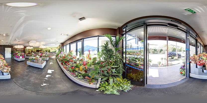 Visite virtuelle 360° de Carrément fleurs à Auch – Fleuriste – Webvisite