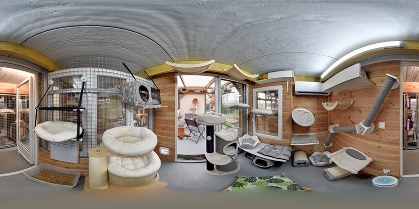 Visite virtuelle 360° de Pension Féline Chat-l'heureux à Heuqueville – Parc animalier – Webvisite