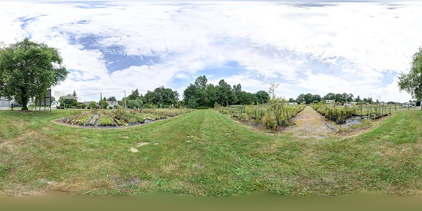 Visite virtuelle 360° de Le Jardin Des Oiseaux à Peillac – Jardinerie – Webvisite