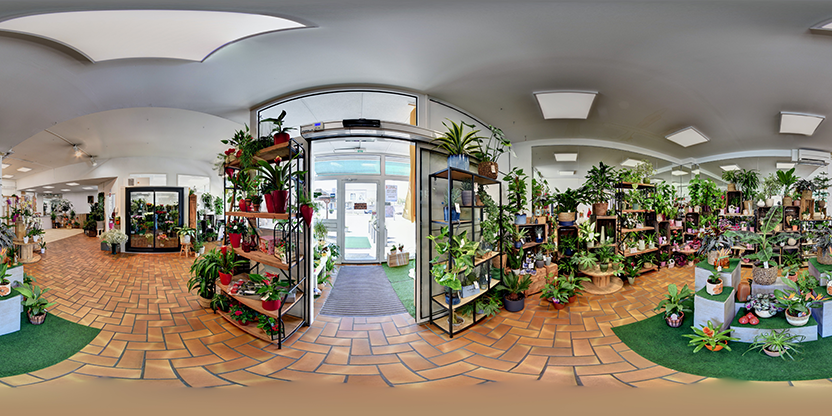 Visite virtuelle 360° de Aux Floralys - Creutzwald à Creutzwald – Fleuriste – Webvisite